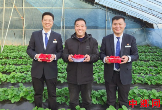 ���аᵽ��ݮ����  ���ڸ��ܡ�ݮ��������