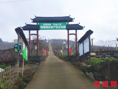 �Ĵ���������������еġ�����ɹ���