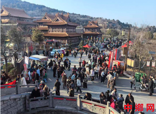 安徽怀远:龙马鱼灯皮影戏 白乳泉边年味浓