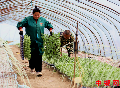 ����ʱ��ũ��æ