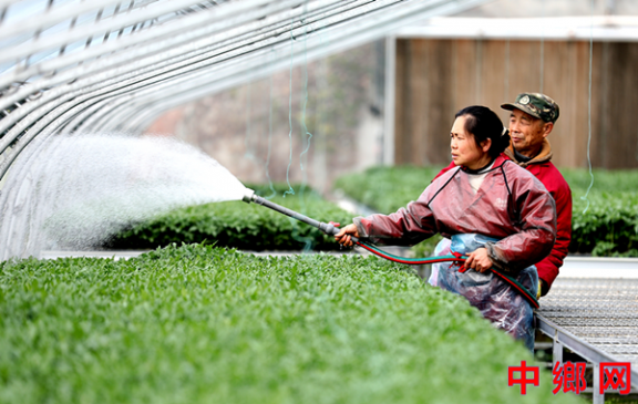 ���ո�����æ���� ������