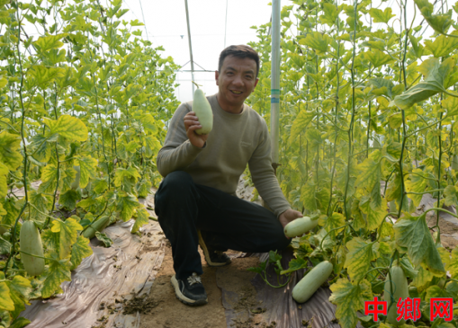 �����ڻƣ���֧�����조��ũ�ˡ���������ϲ�ҵ�����������