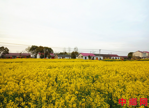 <b>����®���ع������Ͳ˻������á��ᡱ��</b>