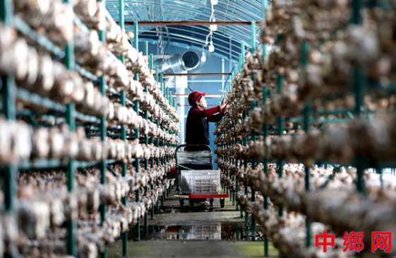 ���ո����������㹽