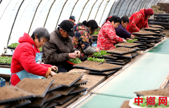 �����¸���