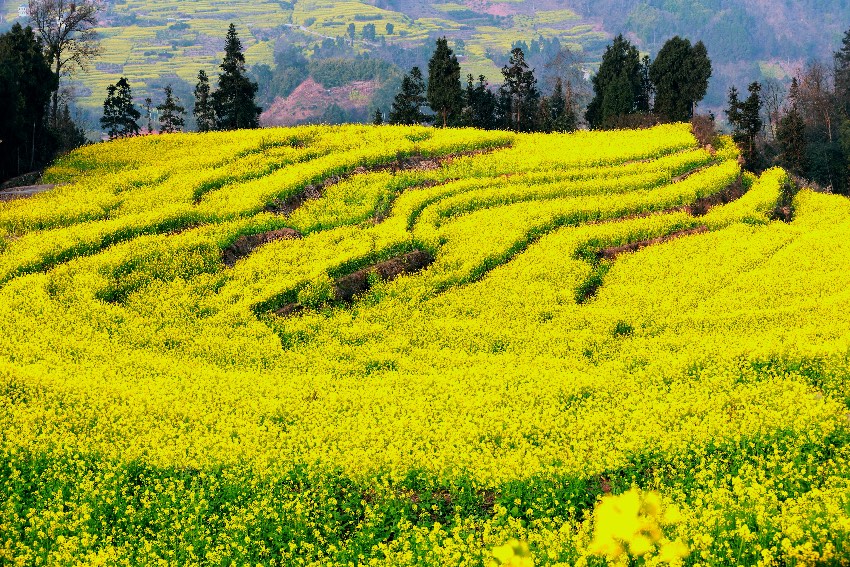 �Ͳ˻������ܷ��߹�ͼ