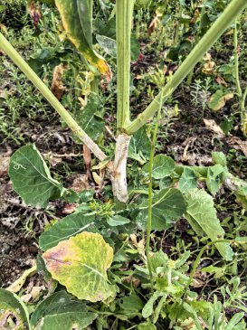 ������ġ��Ƽ��������Ͳ˻���������ҩ��