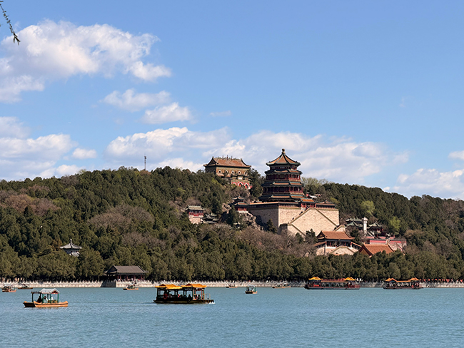 4��6�գ��ο����ú�԰�����δ������������� �������