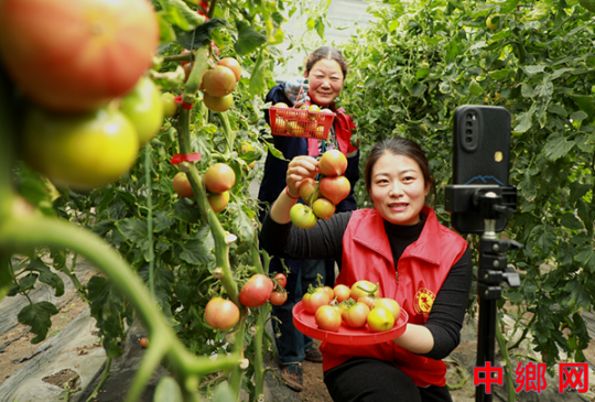 <b>���ո�������ɫ��ҵ ��ũ����</b>