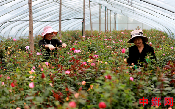 <b>�¸�·�ϻ�����</b>