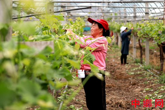 ���꽫��ũ��æ