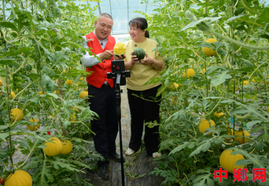 �����ڻ���ֱ��������ũ