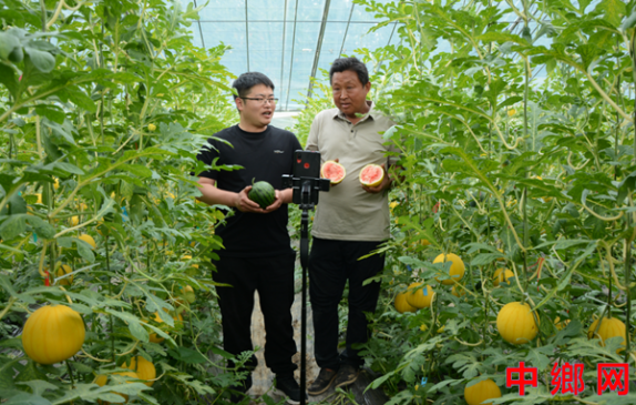 ����ֱ������ �����¸����������롱