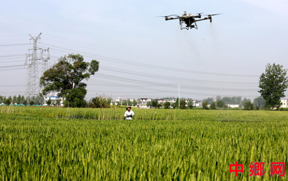 ���ո�������һ��������������