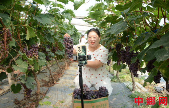�����ڻƣ��������조ֱ��+���̡���ũ  �ؿ�Ⱥ������