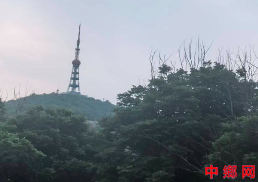 安徽怀远:从“绿满荆山”到“荆山满绿”