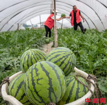 �Ĵ��������а�ƽ��������ӭ��������ռ�